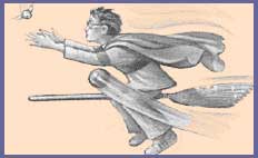 Harry chasing the snitch